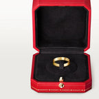 Whispers of Infinity – The Golden Circle That Never Breaks, small model