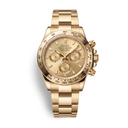 Daytona 116508CSO Oyster Chronograph With Golden Tone Dial Men’s Watch