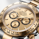 Daytona 126503 Golden Dial Automatic Men's Watch