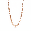 Medium Hardwear Link Nacklace