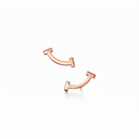 T Smile Stud Earrings
