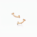T Smile Stud Earrings