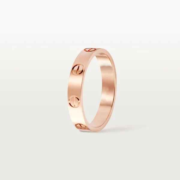 Whispers of Infinity – The Pink Gold Circle That Never Breaks, small model