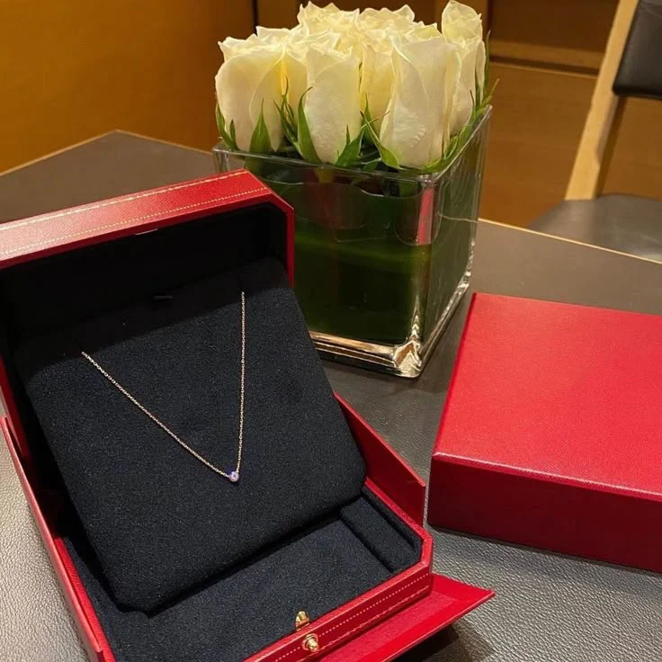 Click to view full screen Pink Gold Light of Simplicity – Minimalist Solitaire Necklace with Single Crystal Center, small model photo review